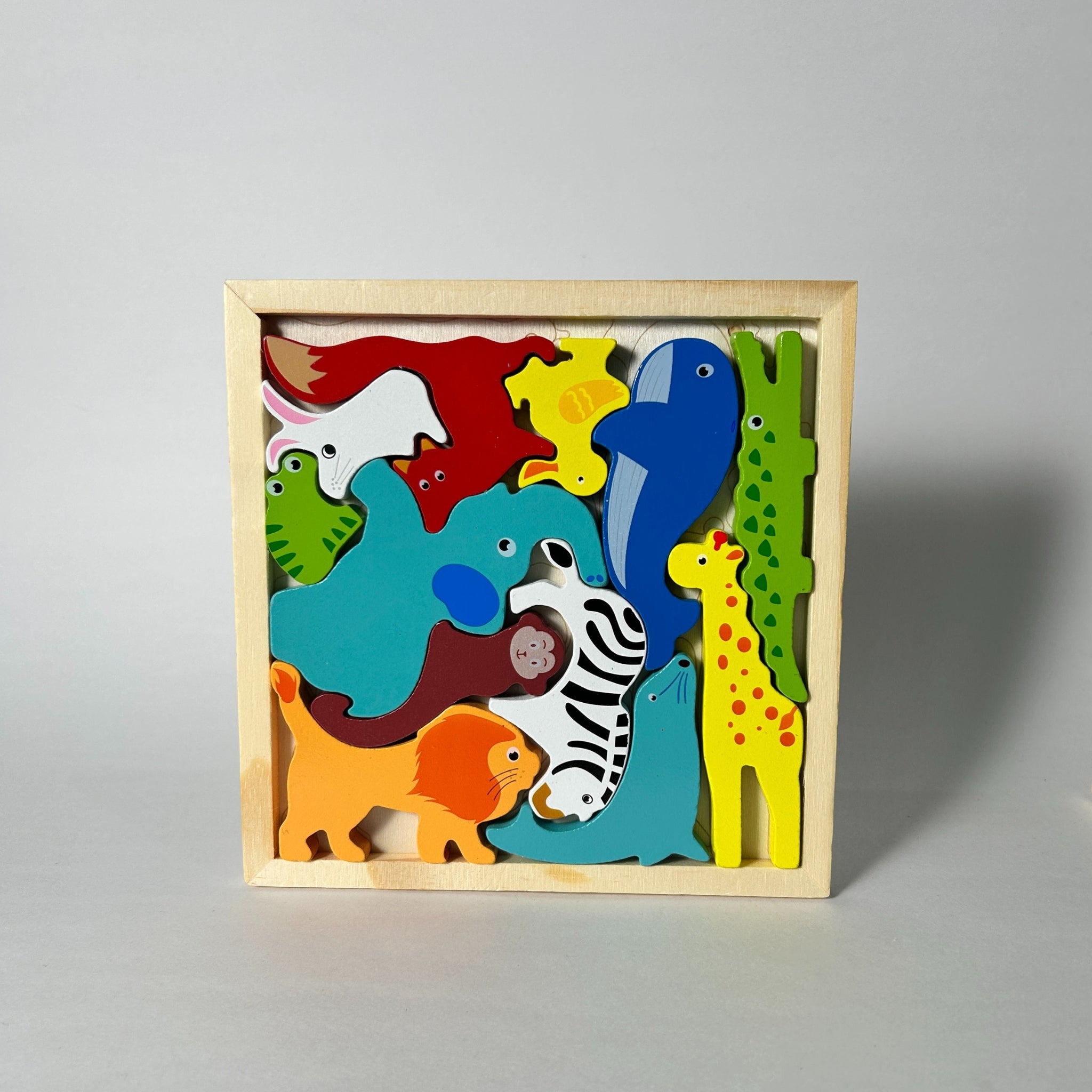 Jungle Explorers Puzzle set