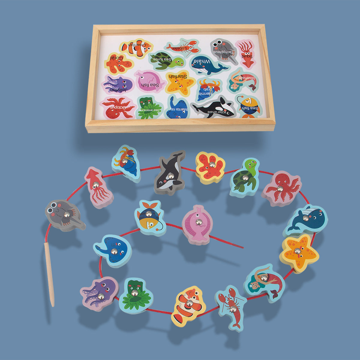 Ocean Catch: Fishing | Lacing | Matching